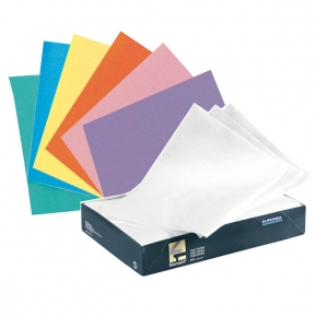PAPEL ABSORBENTE BANDEJA TP250 EURONDA ROSA